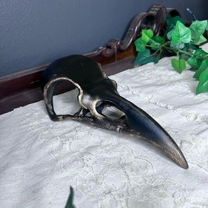 Black and gold raven skull decor